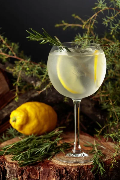 Gin Och Tonisk Cocktail Med Citron Och Rosmarin Kall Iskall — Stockfoto