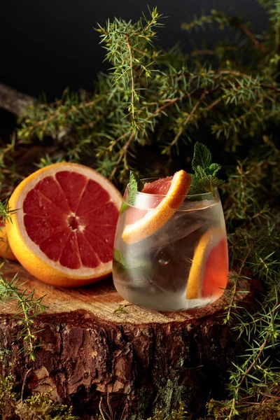 Gin Och Tonisk Cocktail Med Grapefrukt Och Mynta Kall Iskall — Stockfoto