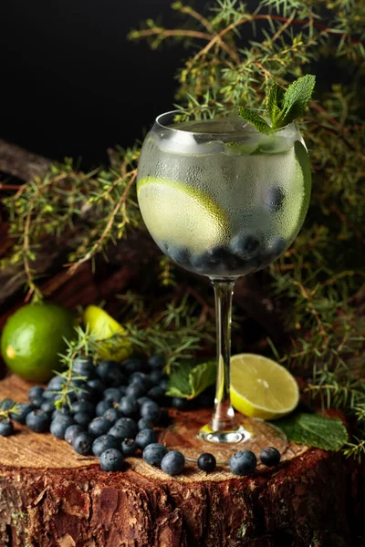 Gin Och Tonisk Cocktail Med Blåbär Lime Och Mynta Kall — Stockfoto