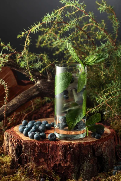 Cocktail Con Ghiaccio Mirtilli Menta Ceppo Pino Nella Foresta Bevanda — Foto Stock