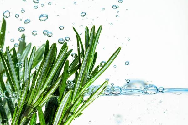 Fresh Rosemary Bunch Water Bubbles — Stock Photo, Image