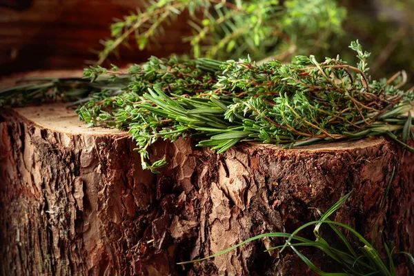 Fragrant uncultivated herbs on a stump in the forest. Fresh thyme and rosemary.