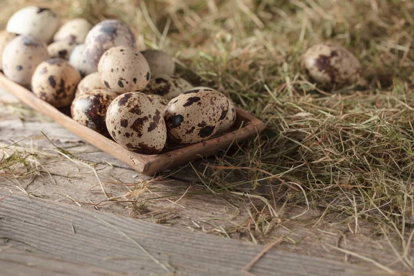 Quail Eggs Old Wooden Background Hay Healthy Organic Food — Stock Photo, Image