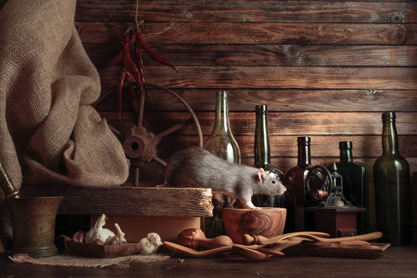 Krysa Stole Starými Kuchyňskými Potřebami Dřevěné Kůlně — Stock fotografie
