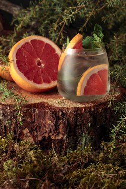Gin ve Tonik kokteyli, greyfurt ve nane. Donmuş bardakta soğuk, ferahlatıcı bir içecek..