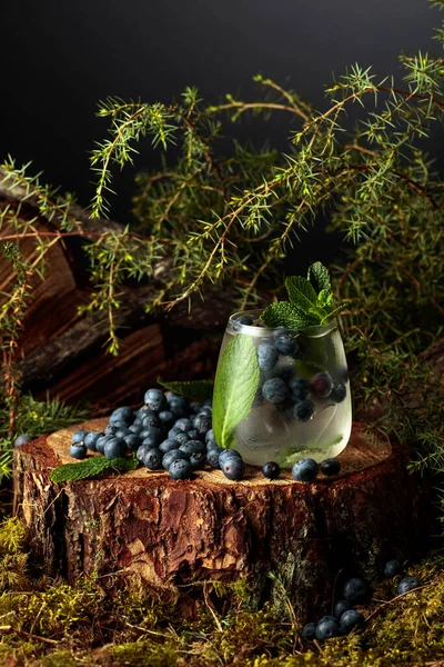 Gin Tonic Koktejl Borůvkou Mátou Studený Ledový Osvěžující Nápoj Zmrzlé — Stock fotografie