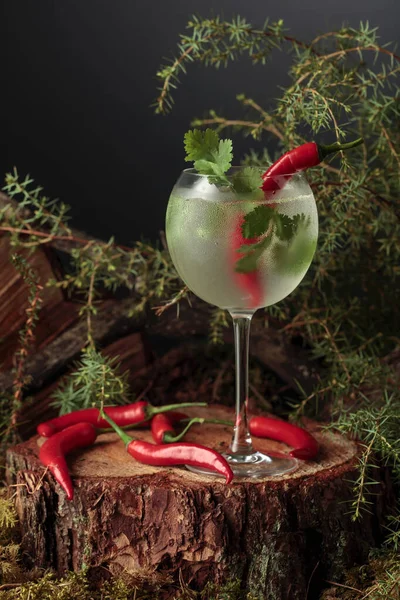 Gin Och Tonisk Cocktail Med Röd Peppar Och Koriander Kall — Stockfoto