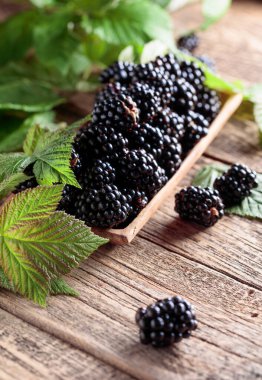 Olgun sulu böğürtlenler Eski ahşap bir masanın üzerinde yapraklarla.