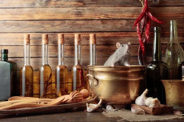 Rat Table Old Kitchen Utensils Wooden Shed — Stock Photo, Image