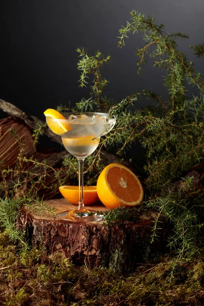 杜松子酒配橙子和百里香鸡尾酒 冰镇清凉的饮料 装在冰镇的杯子里 — 图库照片