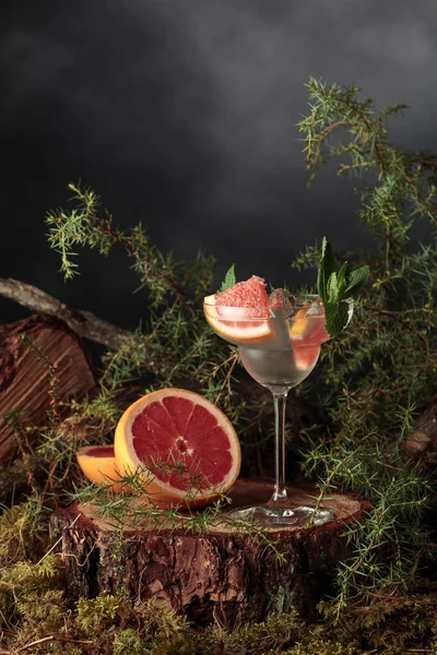 Gin Och Tonisk Cocktail Med Grapefrukt Och Mynta Kall Iskall — Stockfoto