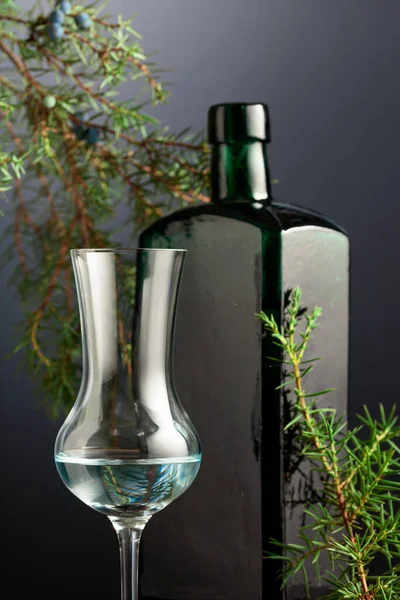 暗い背景にジンのガラス ジュニパーとダークグラスアンティークボトルの背景の枝で — ストック写真