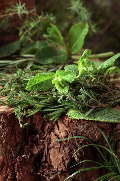 Duftende Wildkräuter Auf Einem Baumstumpf Wald Frischer Thymian Rosmarin Und — Stockfoto