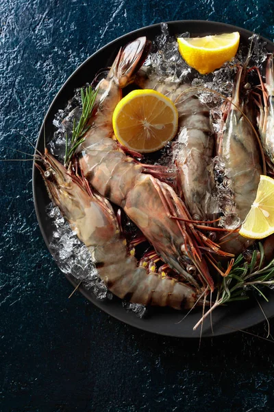 Langostinos Tigres Frescos Plato Negro Con Limón Romero Hielo Picado — Foto de Stock