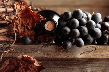 Bir şişe kırmızı şarap, üzümler ve eski ahşap bir masada kurutulmuş asma. Boşluğu kopyala.