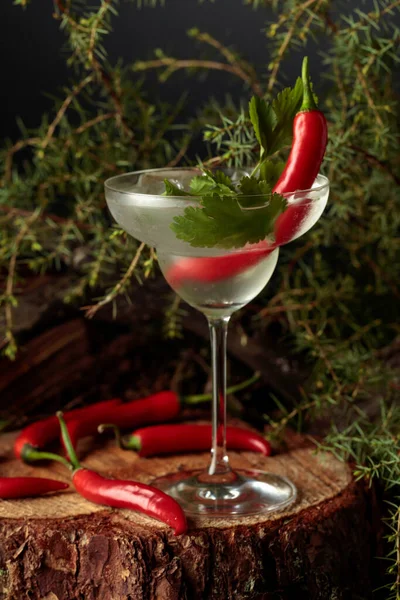 Gin Tonic Cocktail Mit Rotem Pfeffer Und Koriander Ein Kaltes — Stockfoto