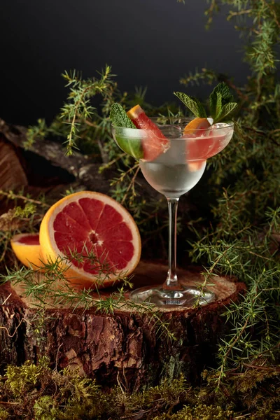 Gin Tonic Cocktail Met Grapefruit Munt Een Koud Ijskoud Verfrissend — Stockfoto