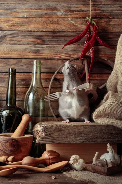 Vtipná Krysa Vidličkou Stole Starými Kuchyňskými Potřebami — Stock fotografie