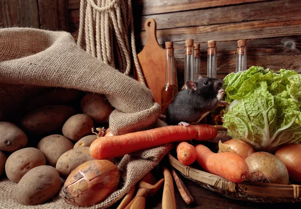 Крыса Старом Деревянном Столе Овощами Кухонной Утварью — стоковое фото