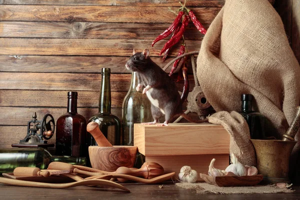 Rat Table Old Kitchen Utensils Wooden Shed — Stock Photo, Image