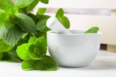 Taze nane yaprakları ve beyaz seramik havan topu. Aromaterapi, spa ve bitkisel ilaç malzemeleri..