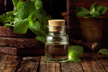 Taze nane yaprakları ve içinde nane yağı bulunan küçük bir şişe. Eski ahşap bir arka planda bitkisel ilaçlar var..