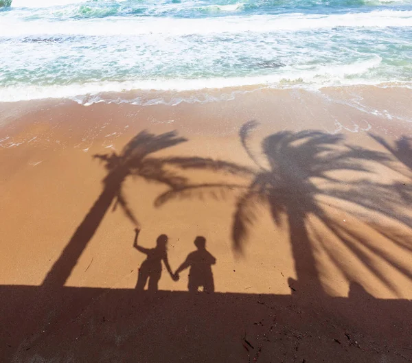 热带海滩 清澈的热带海滩 棕榈树下的阴影 沙滩上幸福的一对 — 图库照片