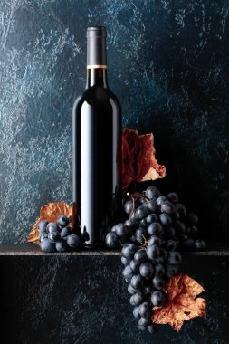 Bir şişe kırmızı şarap ve kurumuş asma yapraklı üzümler eski koyu mavi arka planda. 