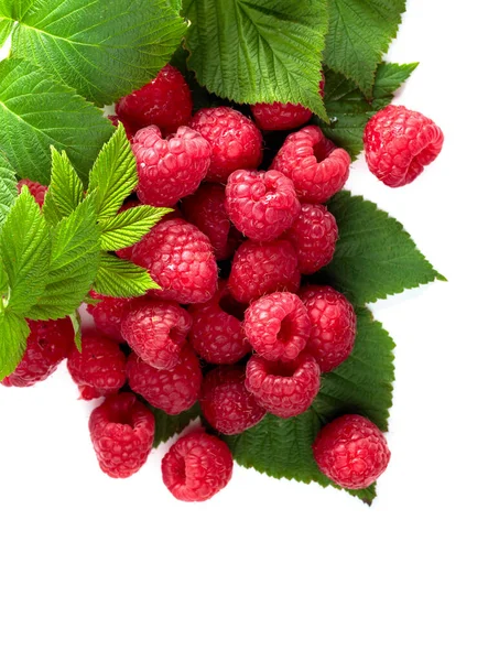 Fresh Raspberries Leaves Isolated White Background — Stock Photo, Image