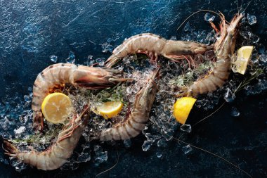 Limonlu, biberiyeli taze kaplan karidesleri ve koyu mavi arka planda ezilmiş buz..