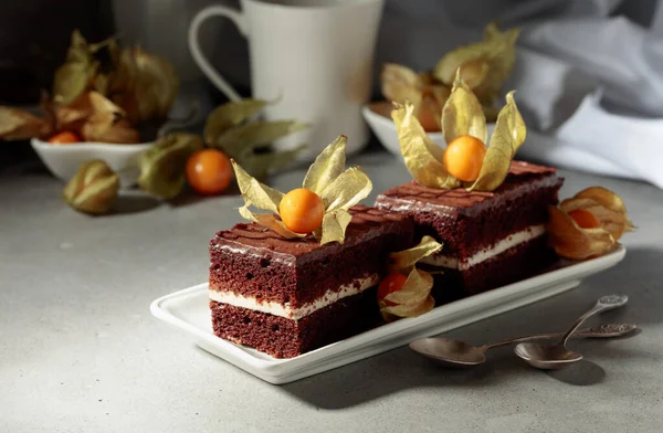 Шоколадный Торт Украшенный Физалисом Сером Столе — стоковое фото