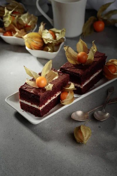 Schokoladenkuchen Mit Physalis Auf Einem Grauen Tisch — Stockfoto