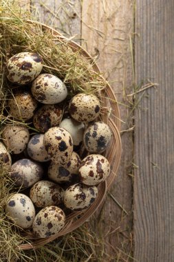 Eski ahşap bir arka planda samanlı bıldırcın yumurtası. Üst görünüm.