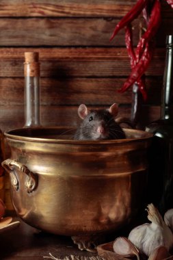 Ahşap bir kulübede eski mutfak gereçleri olan bir masada fare..