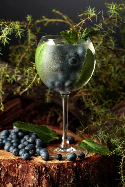 Cocktail Gin Tonique Avec Glace Myrtille Menthe — Photo