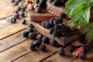 Eski ahşap bir masada taze böğürtlen.