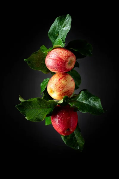 Juicy Apples Leaves Fresh Apples Drops Water Black Background — Stock Photo, Image