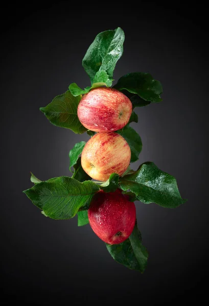 Saftige Äpfel Mit Blättern Frische Äpfel Mit Wassertropfen Auf Schwarzem — Stockfoto