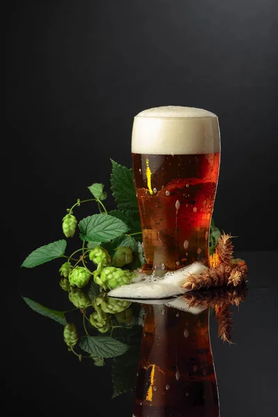 Bier Met Hop Gerst Een Zwarte Reflecterende Achtergrond — Stockfoto