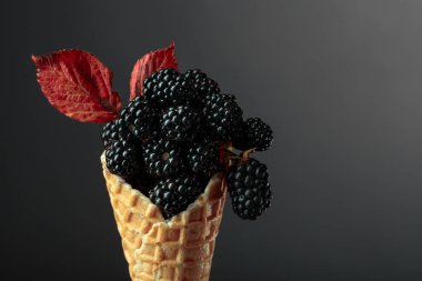 Koyu arkaplanda waffle külahında taze böğürtlen..