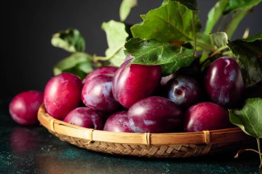 Mor erikler ve koyu mavi arka planda yapraklar.. 