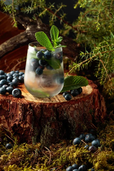 Cocktail Mit Eis Blaubeeren Und Minze Auf Einem Kiefernstumpf Wald — Stockfoto