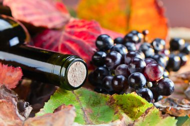 şarap şişesiyle