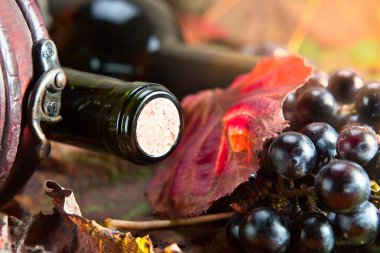 şarap şişesiyle