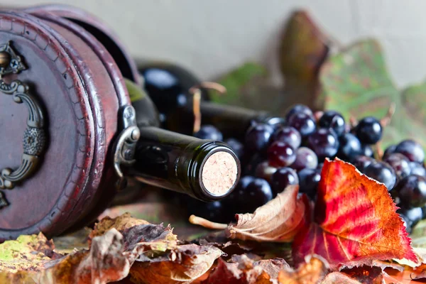 Botella con vino —  Fotos de Stock