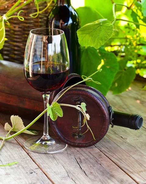 Red wine — Stock Photo, Image