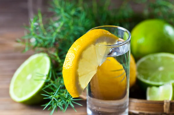 Gin with lemon — Stock Photo, Image