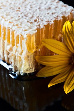  siyah yansıma arka planda petek