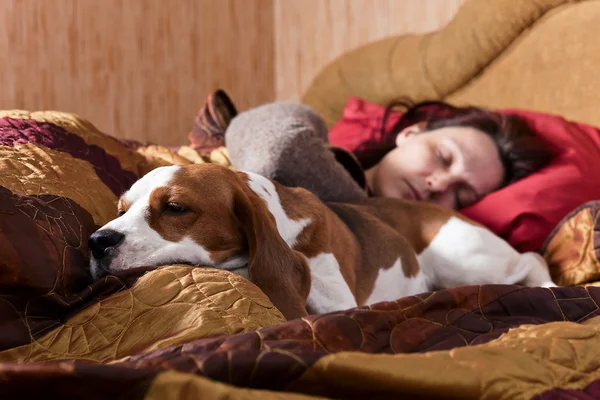 Sleeping woman and its dog Royalty Free Stock Photos