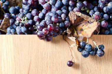 Ürün üzüm şarap üretimi için